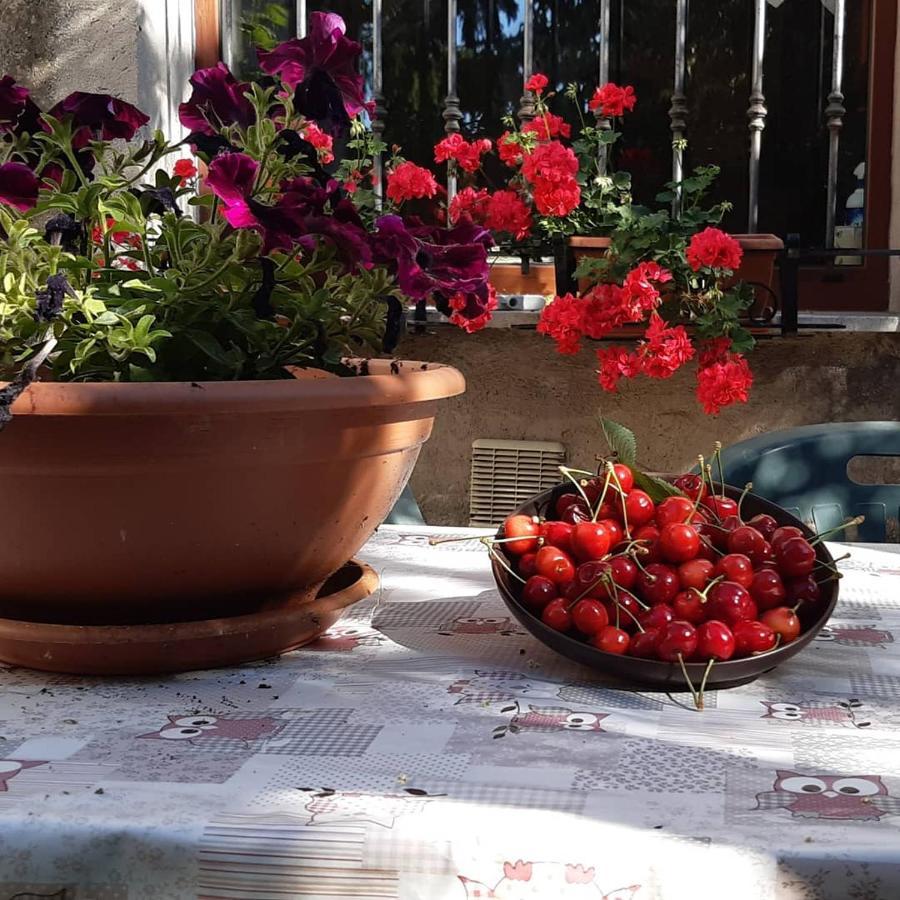 B&B Mamma Ari Fermo Zewnętrze zdjęcie